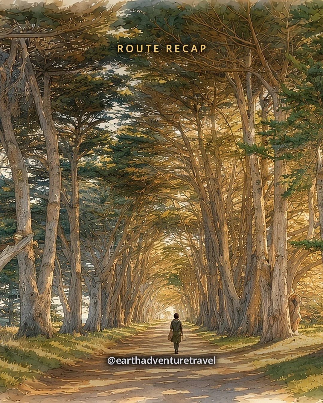 Illustration: a long tunnel of tall dark cypress trees arching over a straight country lane at golden hour, original illustrated recap card