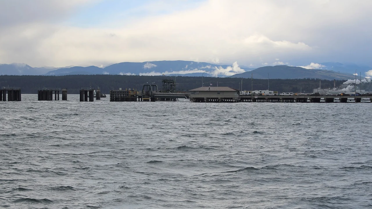 Postcard photo 4