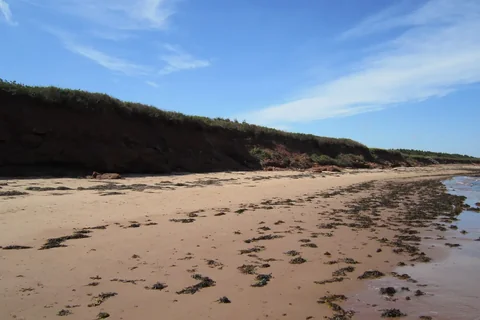 Cavendish Beach, a wide sandy beach below a low red bluff with a blue sky
