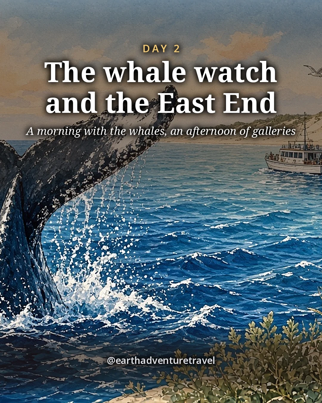 Illustration: a humpback whale’s black-and-white tail fluke lifting out of deep blue water with spray streaming from its edge and seabirds skimming, a small white whale-watch boat far behind, illustrated day card for Day 2