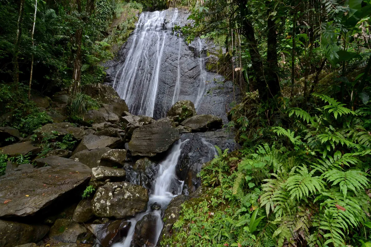La Coca Falls tumbling over rocks beside the road in El Yunque