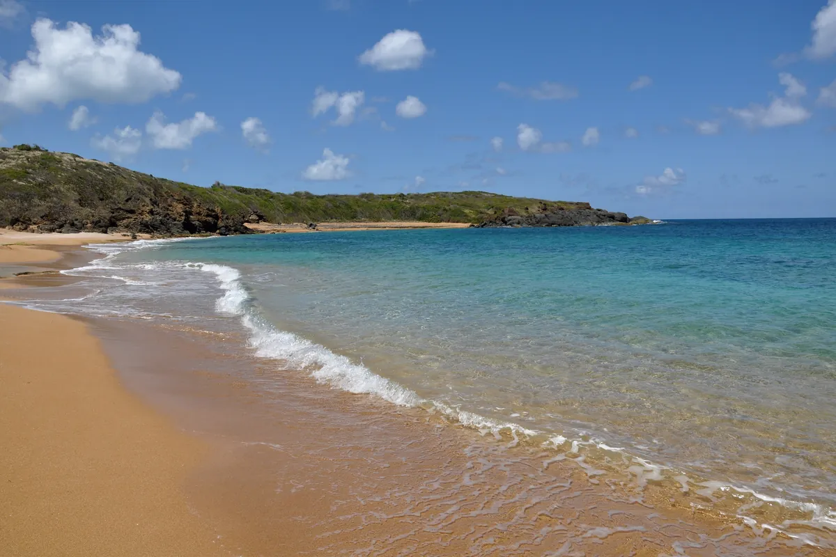 A calm beach with palm trees at Luquillo, Puerto Rico