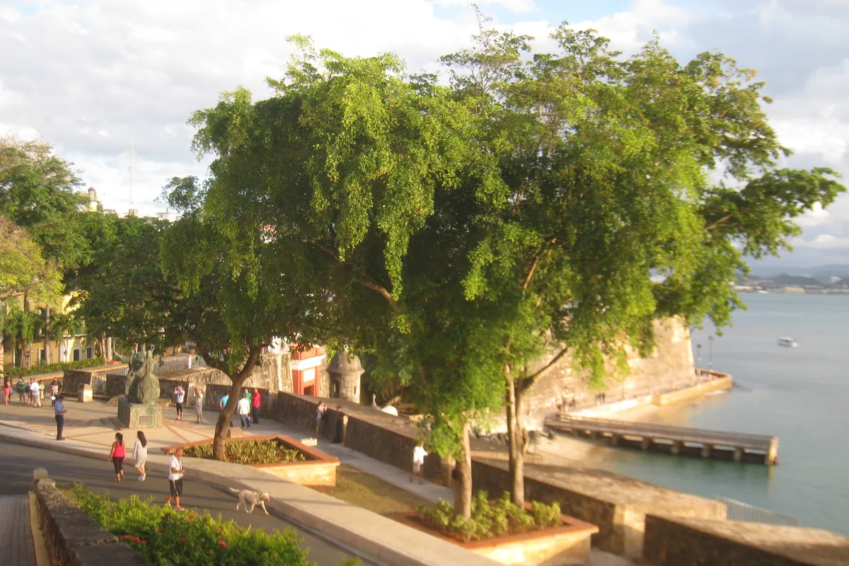The tree-lined Paseo de la Princesa below the walls of Old San Juan