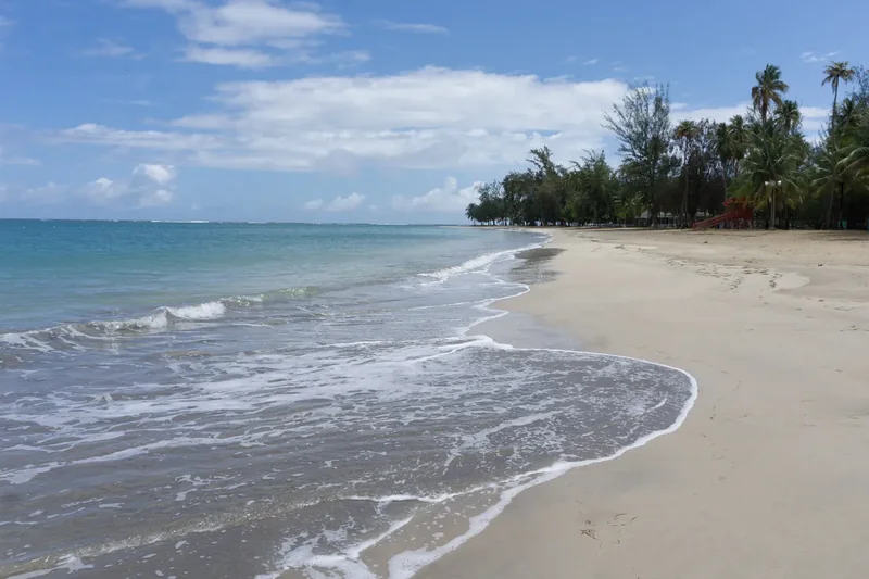 Palm trees and calm water at Luquillo Beach, Puerto Rico