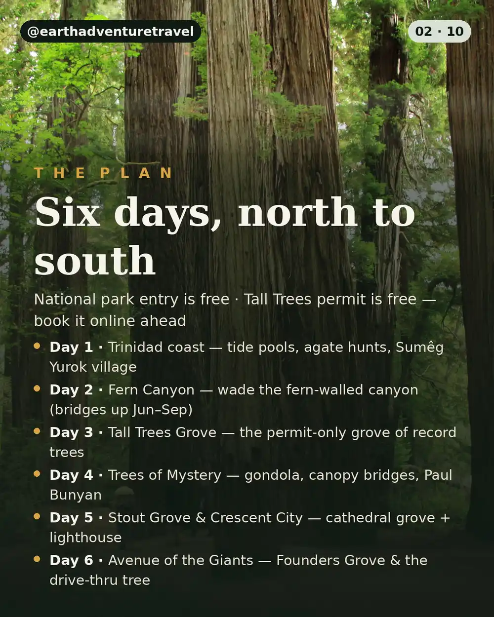 Redwoods trip-plan graphic: the six-day North Coast route at a glance
