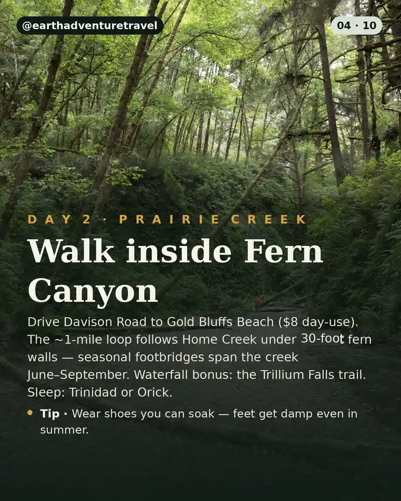 Day 2 itinerary card: Fern Canyon and Gold Bluffs Beach