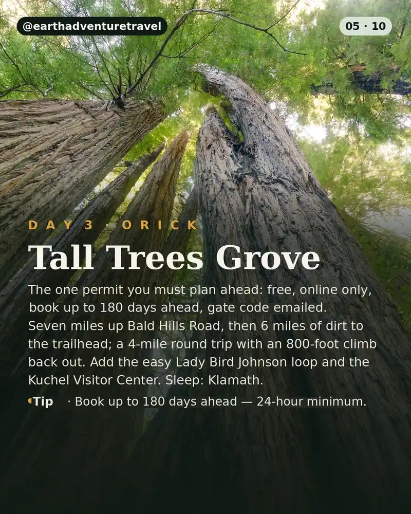 Day 3 itinerary card: Tall Trees Grove permit hike