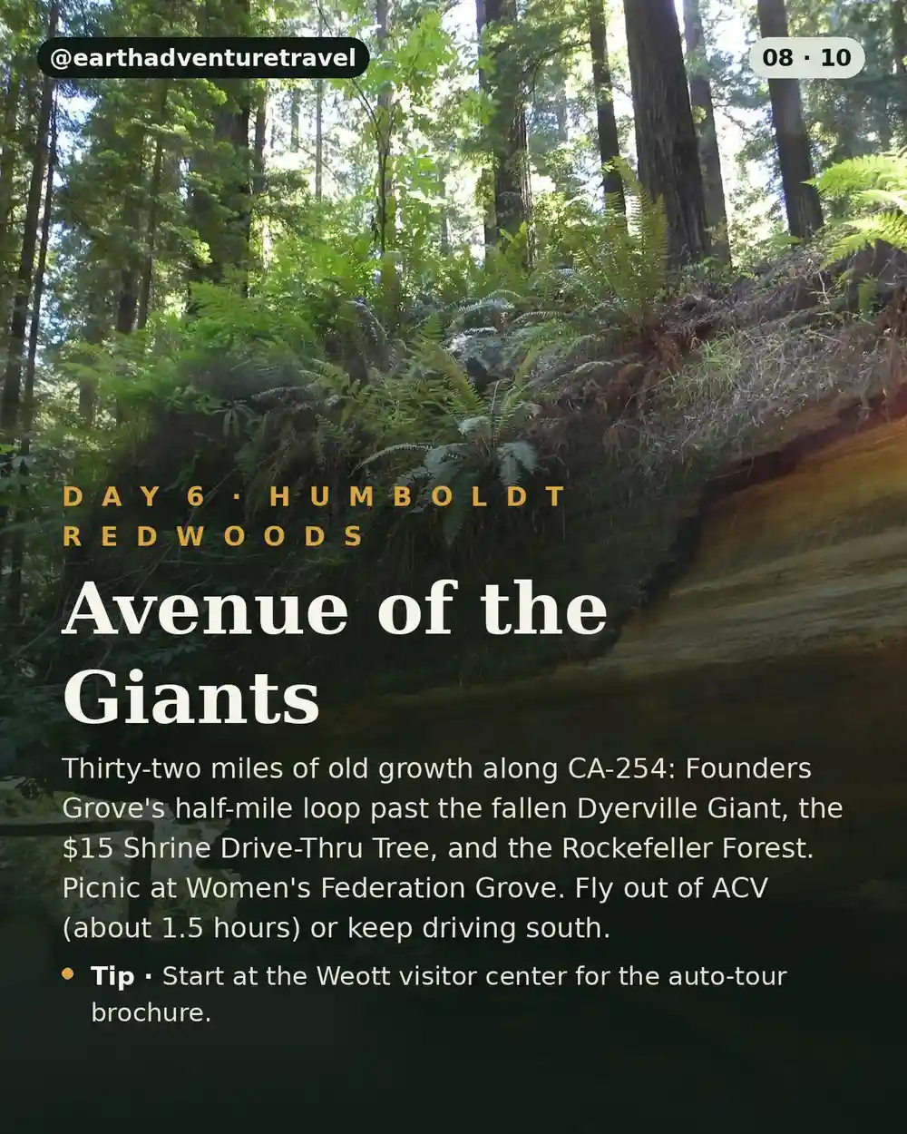 Day 6 itinerary card: Avenue of the Giants