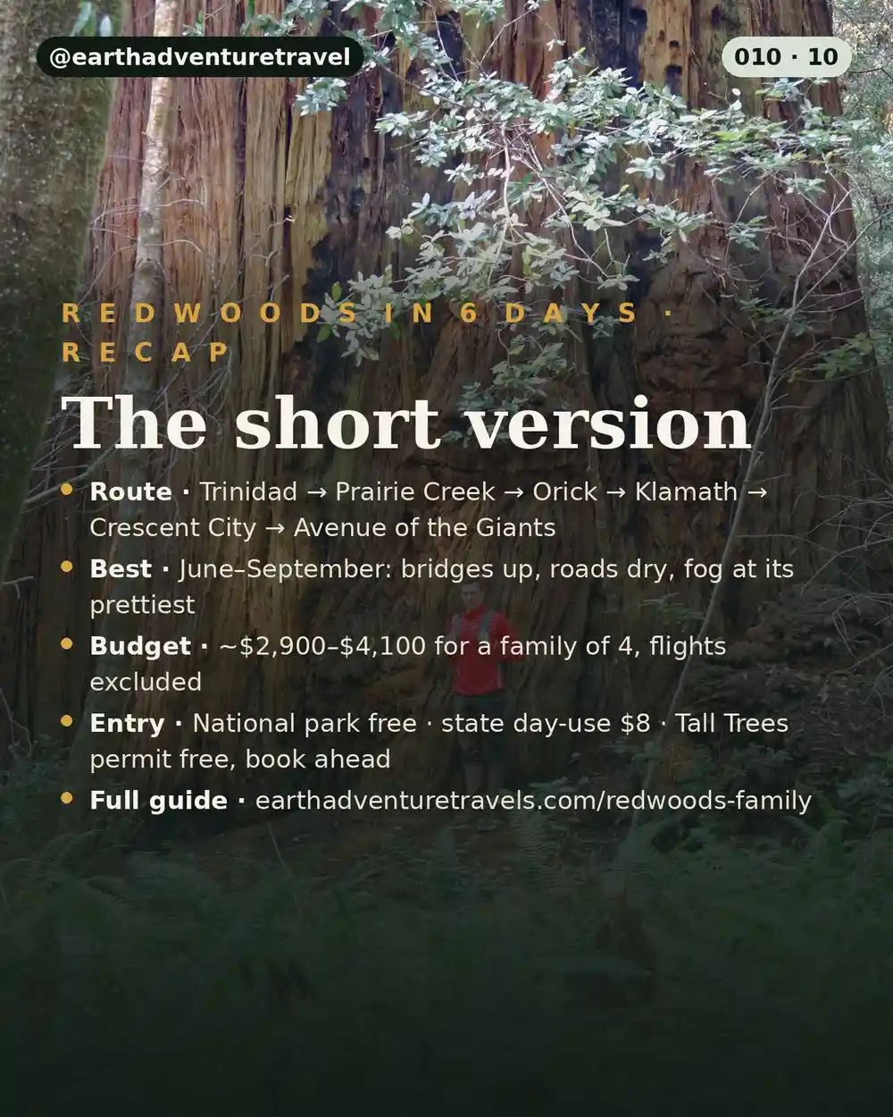 Redwoods trip recap graphic: 6 days — Tall Trees, Fern Canyon, Trees of Mystery, Stout Grove, Avenue of the Giants