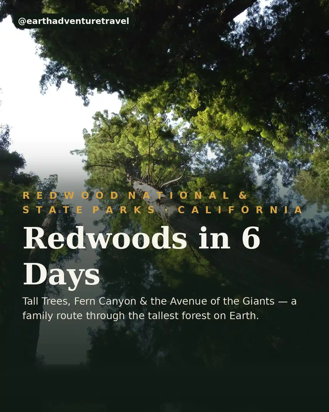 Cover graphic for Redwoods in 6 Days