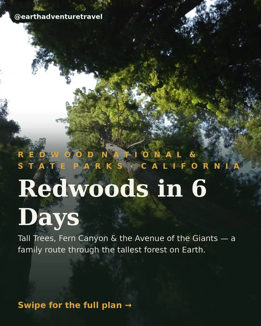 Cover graphic for Redwoods in 6 Days