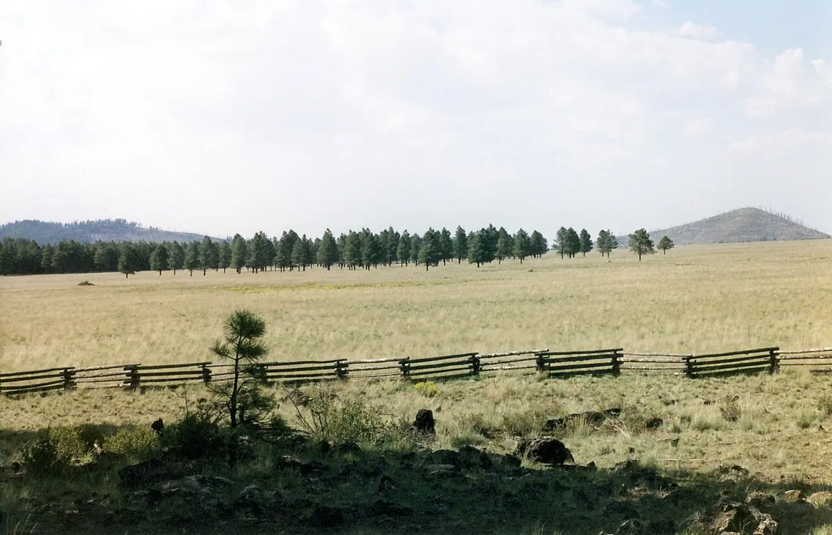 Open ranchland along old Route 66 near Williams, Arizona