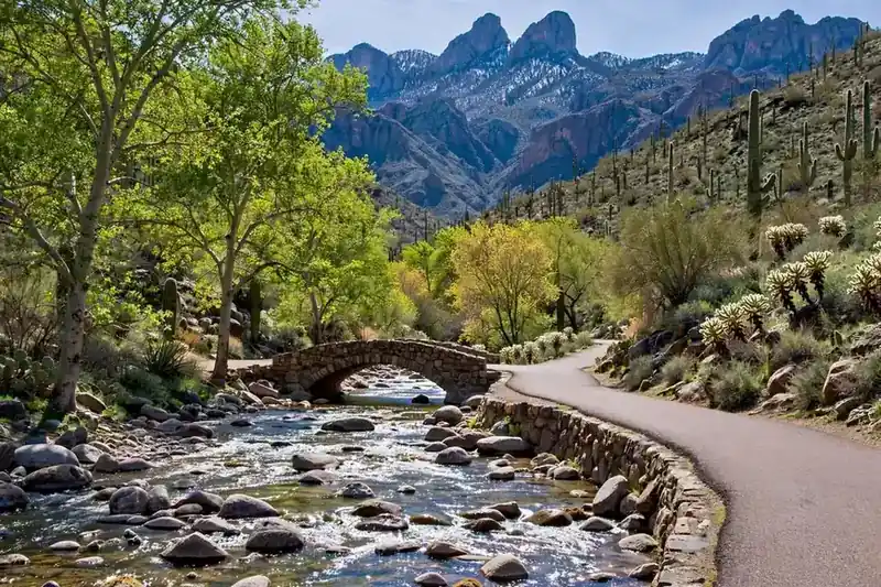 Sabino Canyon creek with a stone bridge and the Santa Catalina Mountains behind