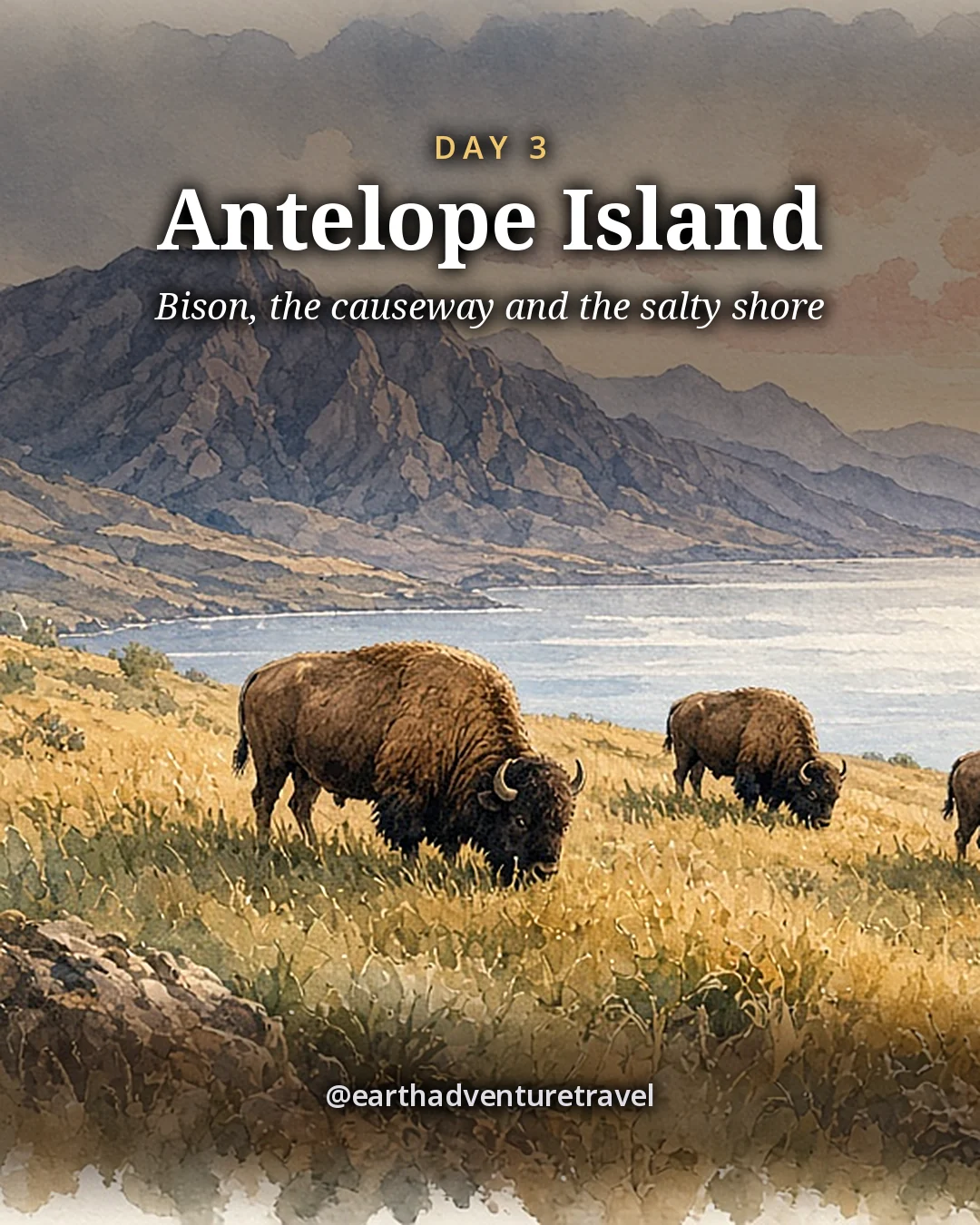 Illustration: bison grazing in golden grass beside the Great Salt Lake, illustrated day card for Day 3
