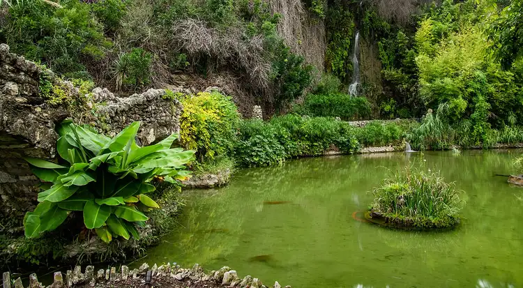 Japanese Tea Garden pond with waterfall in San Antoniol in San Antonio