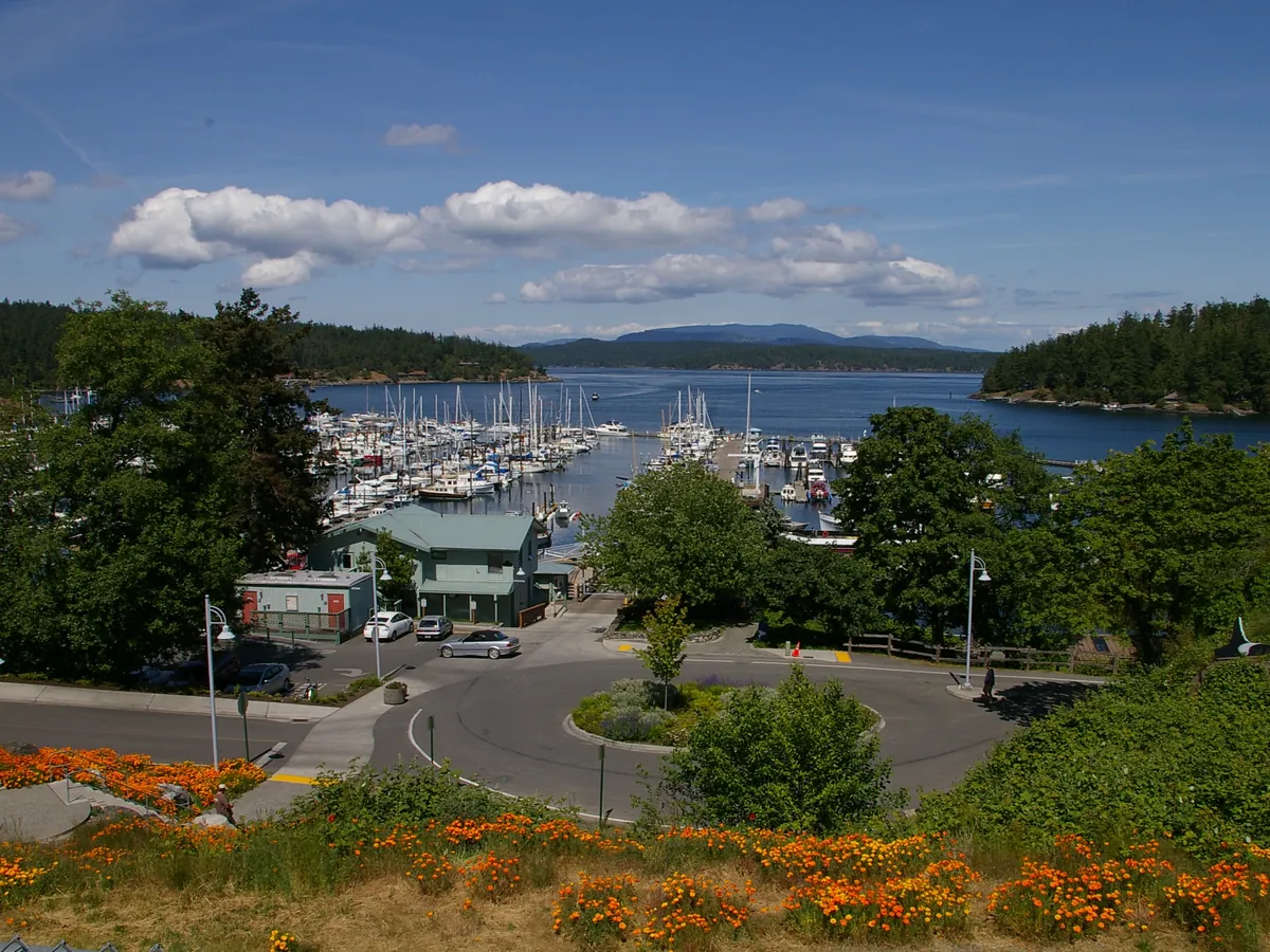 Friday Harbor’s marina and houses on the hill seen from above the town