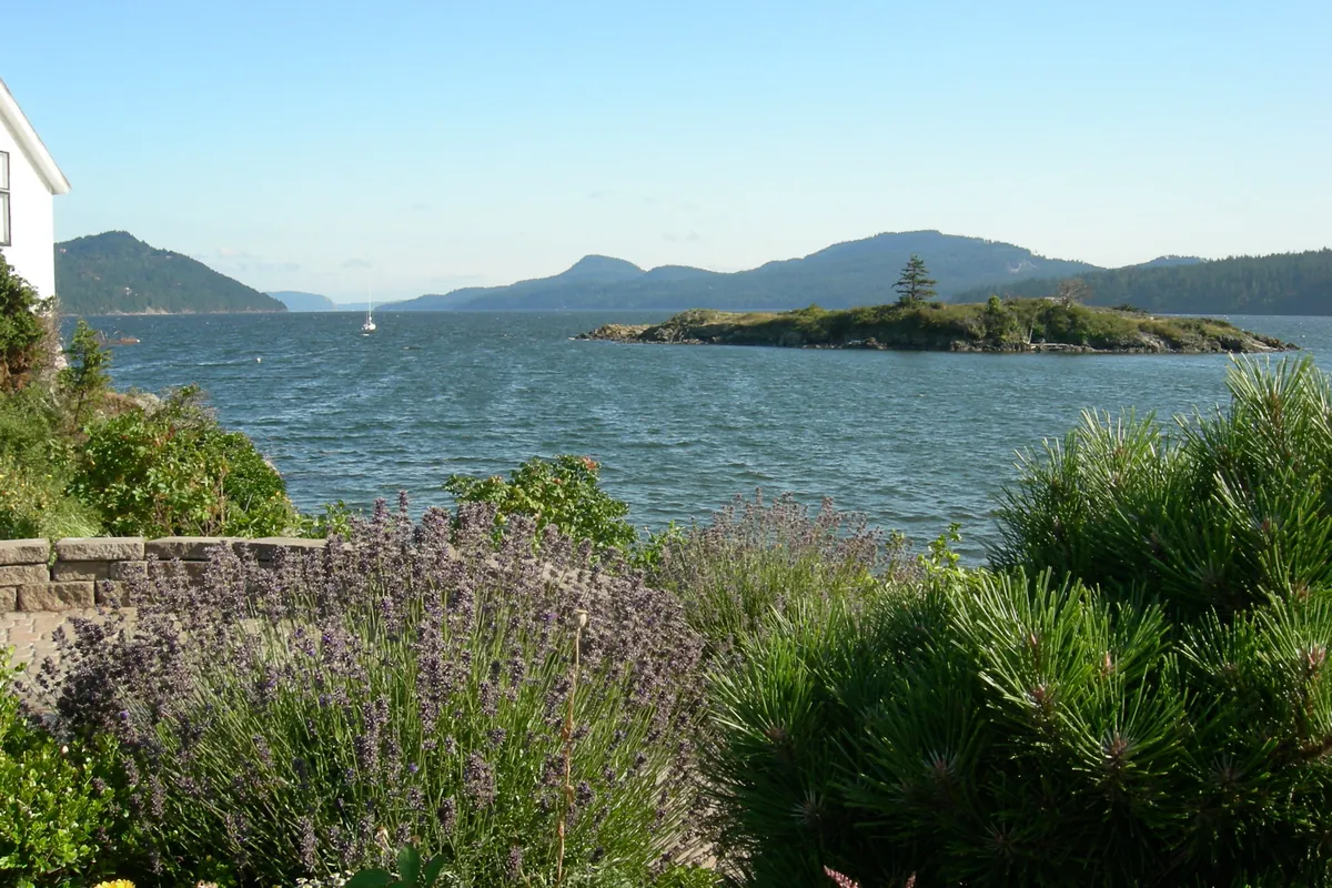 Boats in the harbor at Eastsound on Orcas Island