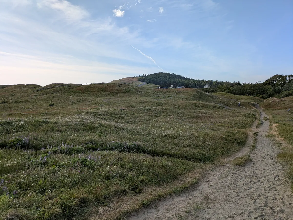 The small Cattle Point Light on a grassy point at the south end of San Juan Island
