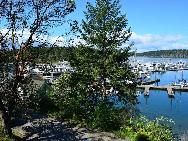 Boats in the marina at Roche Harbor on San Juan Island