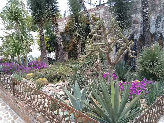 The garden courtyard at Fábrica La Aurora