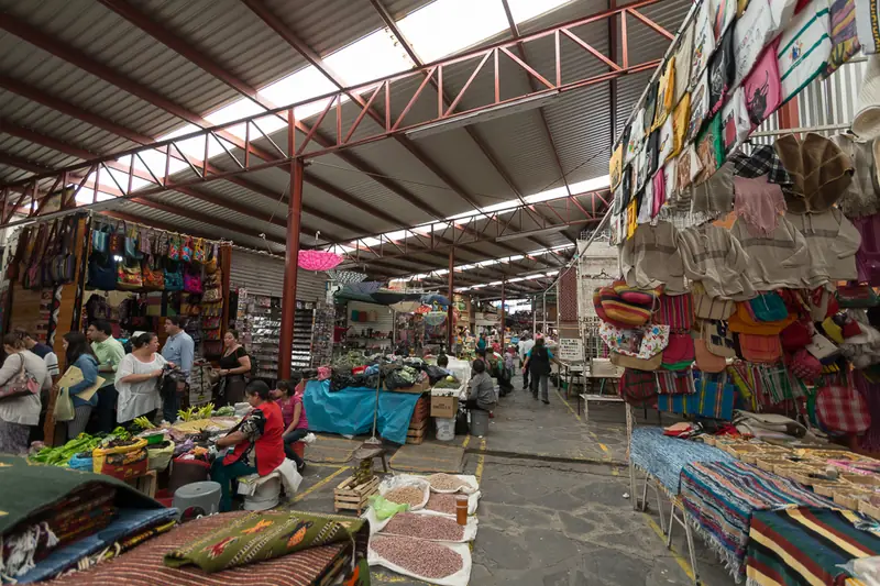Stalls inside the Mercado Ignacio Ramírez