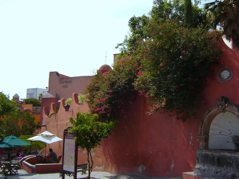 A bougainvillea-draped colonial wall on a San Miguel street