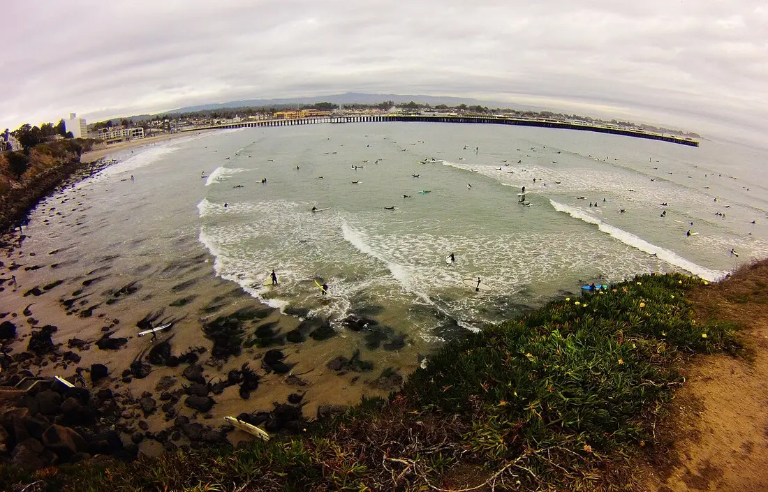 Surfers riding gentle waves at Cowell's Beach, Santa Cruz