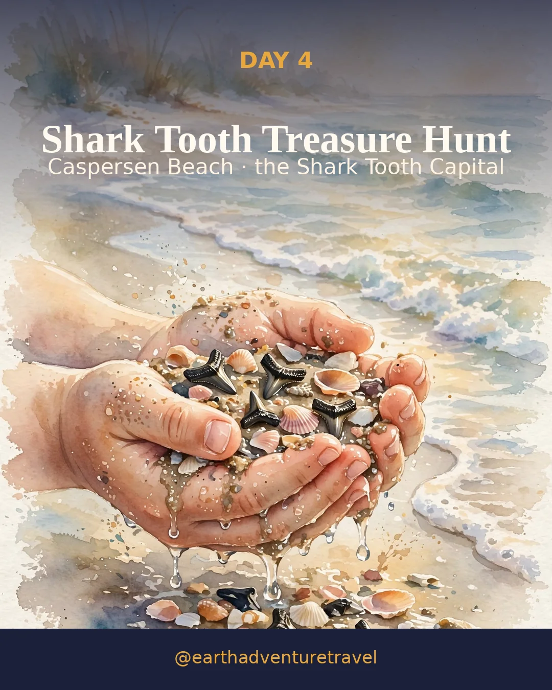 Day 4 graphic: a child's hands sifting shells and fossil shark teeth at the water's edge
