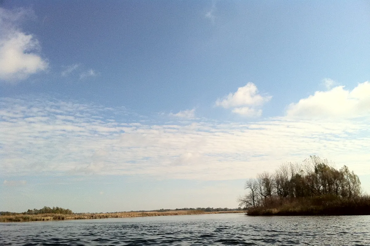 The Kalamazoo River near a boat launch below Saugatuck, with trees along the banks