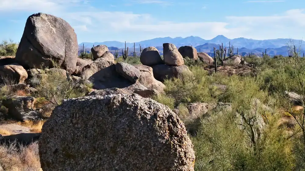 Sonoran Desert trail