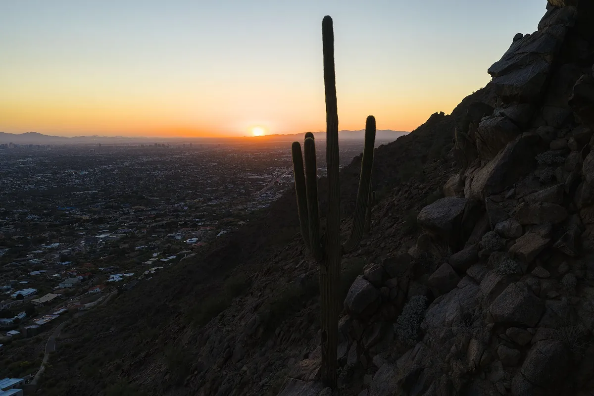 Saguaro cacti silhouetted against a desert sunset near Scottsdale