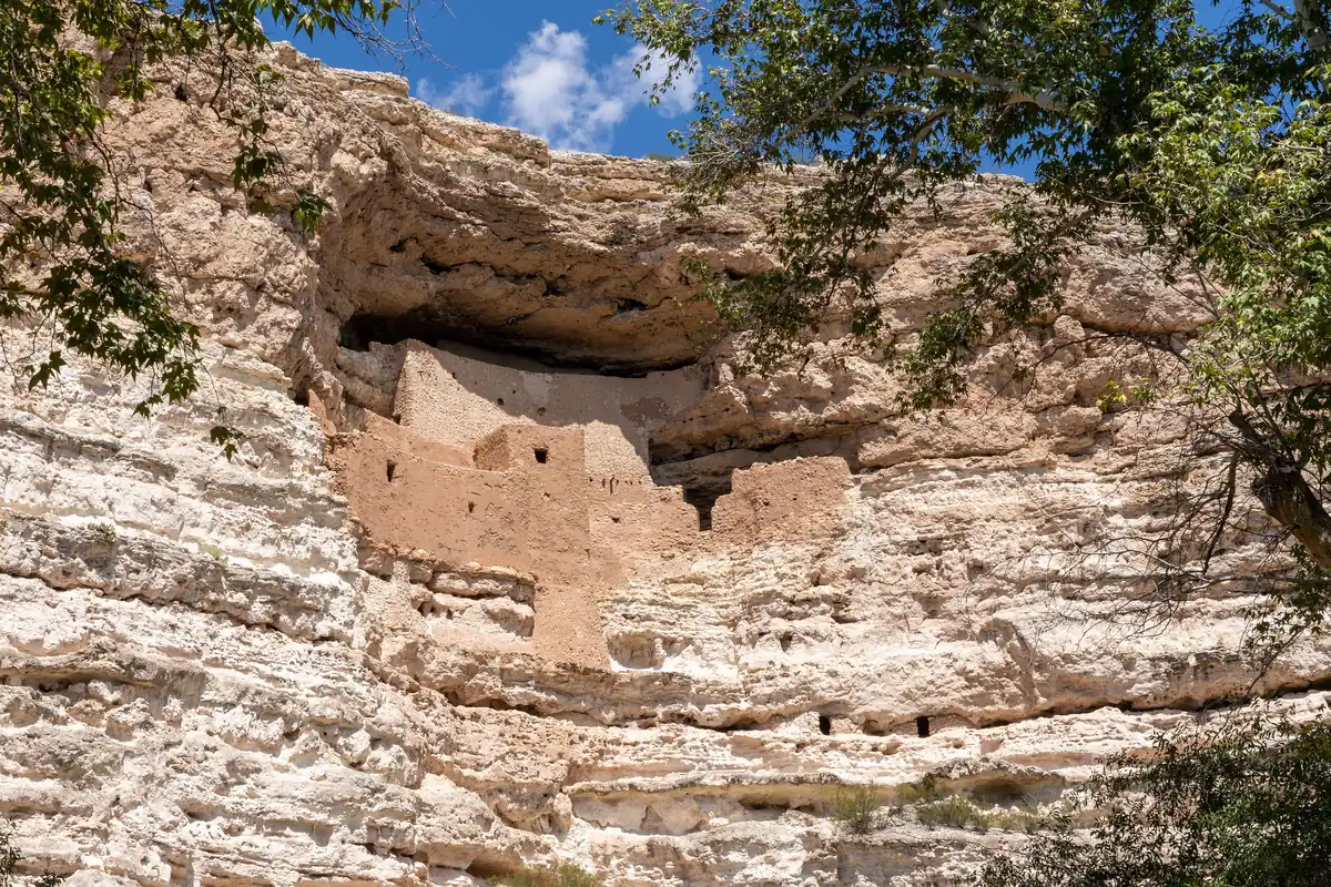 Montezuma Castle, a multi-story cliff dwelling in a pale limestone cliff above sycamore trees