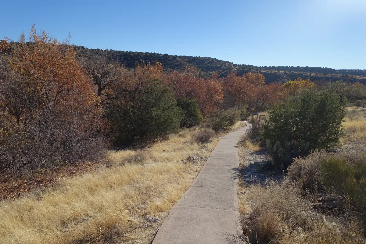 A paved path through desert shrubs and autumn trees at Montezuma Well, Arizona