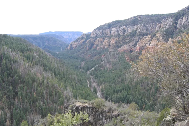 The forested walls of Oak Creek Canyon above the creek