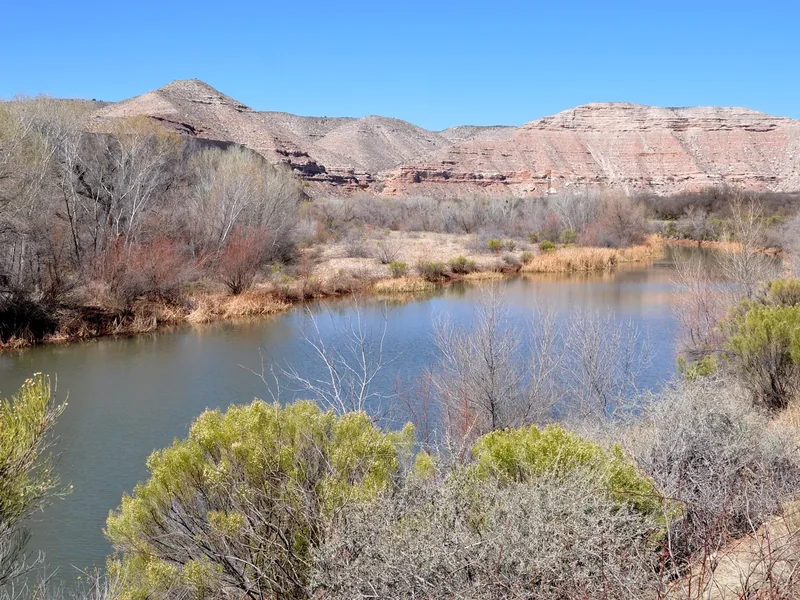 The Verde River running between cottonwoods upstream of Clarkdale
