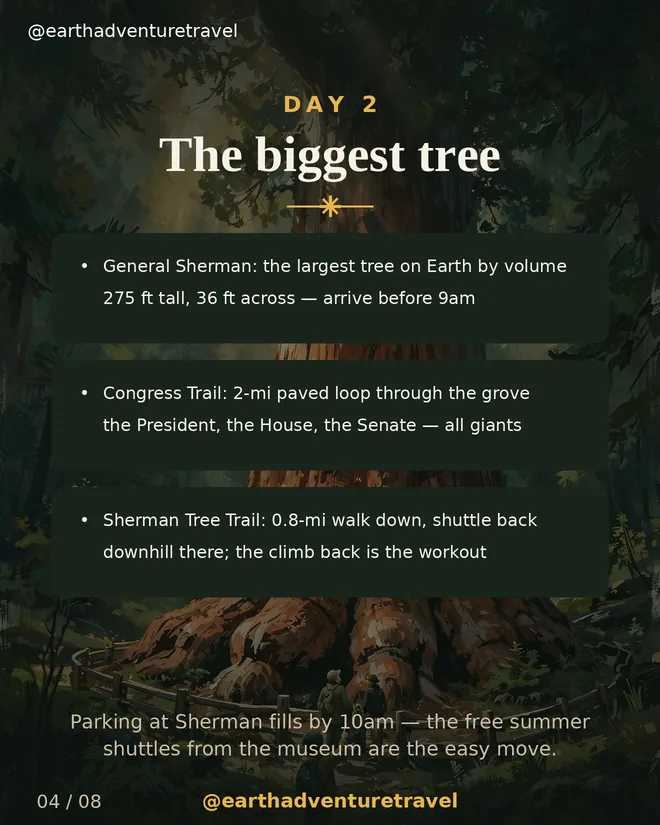 Day 2 graphic: General Sherman and the Congress Trail