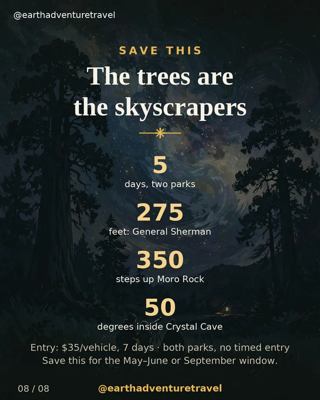 Recap graphic: the trees are the skyscrapers — five family days at Sequoia & Kings Canyon