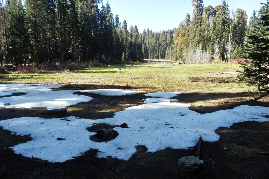 Crescent Meadow ringed by giant sequoias at Sequoia National Park
