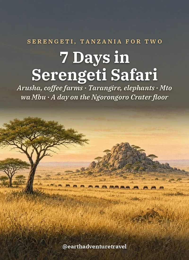 Original Illustration: acacia trees and a granite kopje on the Serengeti plains at golden hour