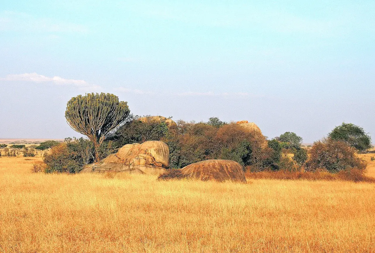 The Serengeti plains in Serengeti National Park, Tanzania