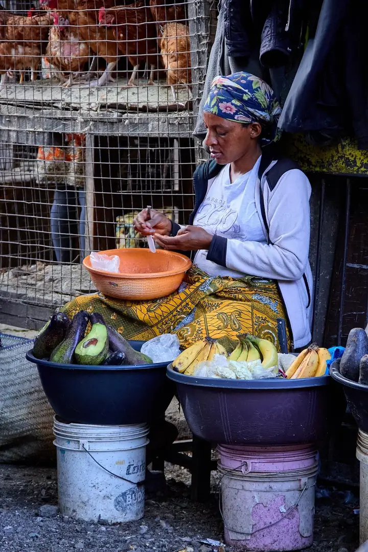 Arusha, coffee farms and a market morning