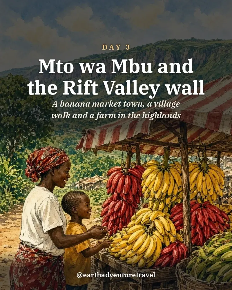 Illustrated day card: A banana market town, a village walk and a farm in the highlands