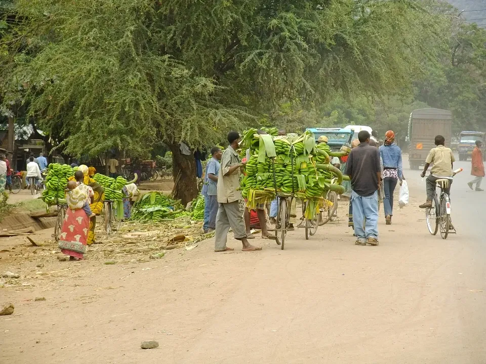 Mto wa Mbu and the Rift Valley wall