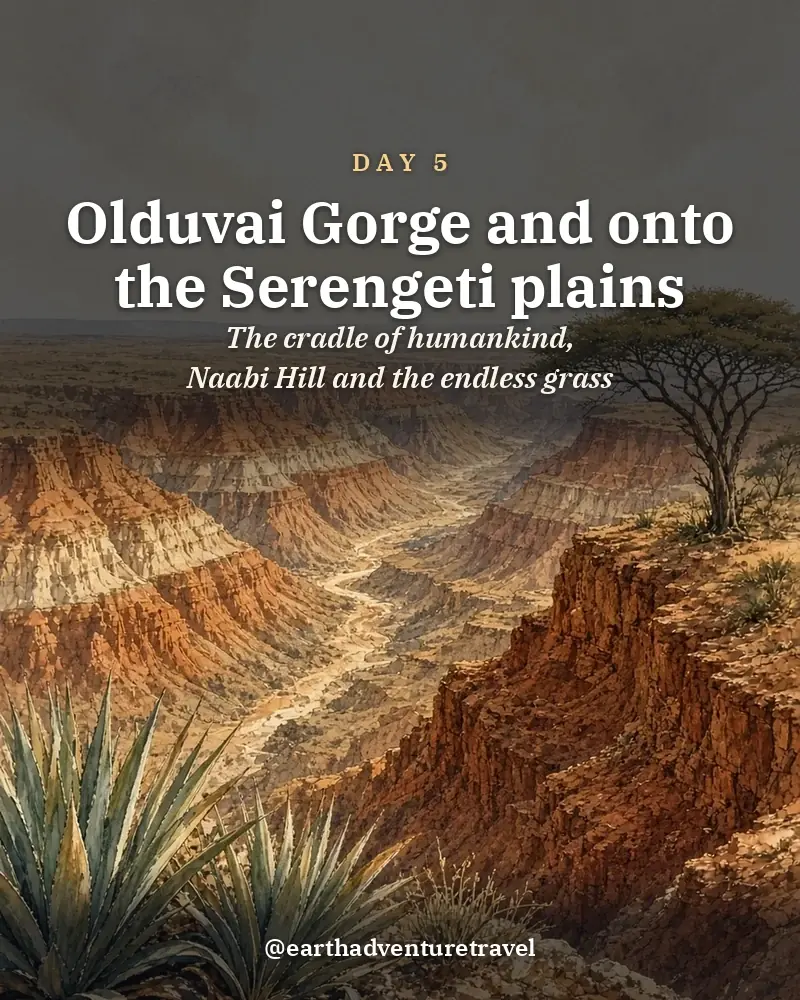 Illustrated day card: The cradle of humankind, Naabi Hill and the endless grass