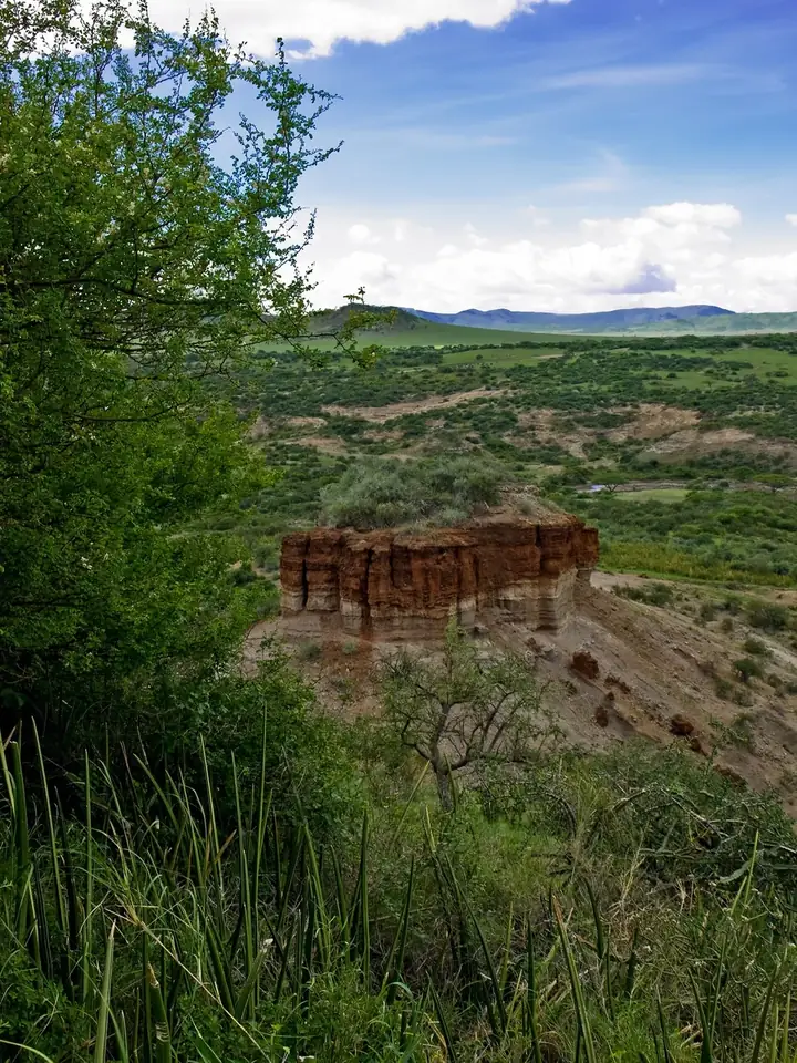 Olduvai Gorge and onto the Serengeti plains