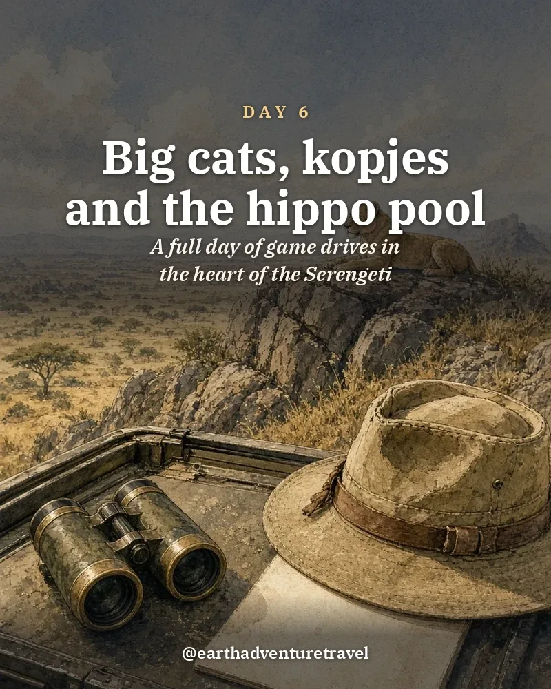 Illustrated day card: A full day of game drives in the heart of the Serengeti