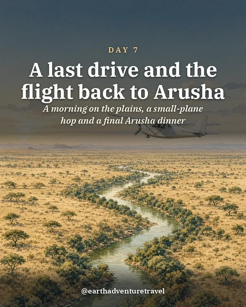 Illustrated day card: A morning on the plains, a small-plane hop and a final Arusha dinner
