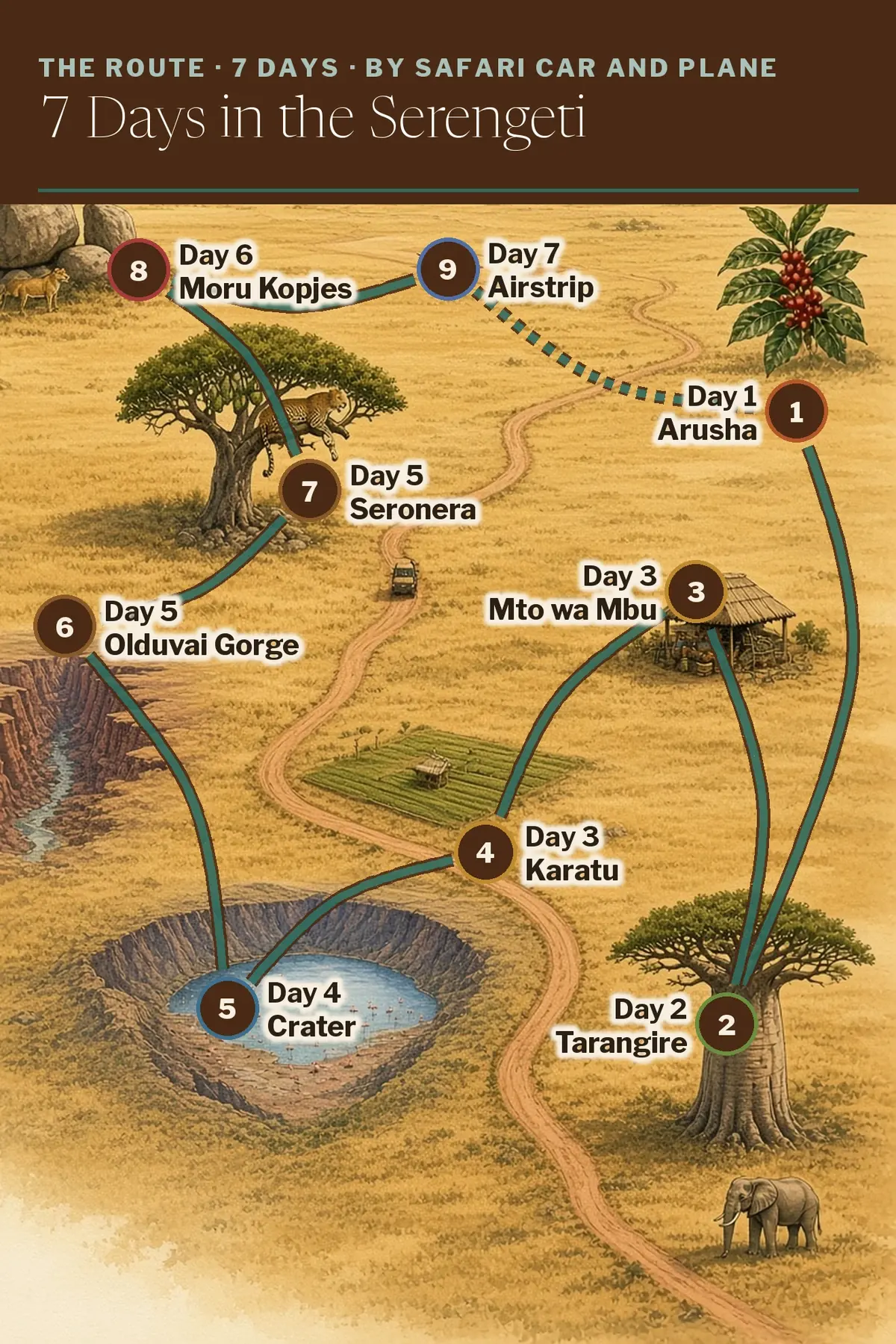 Illustrated route map: Arusha, Tarangire, Mto wa Mbu, Karatu, Ngorongoro Crater, Olduvai Gorge, Seronera, Moru Kopjes, Seronera Airstrip