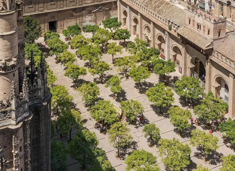 The Cathedral, the Giralda and Santa Cruz