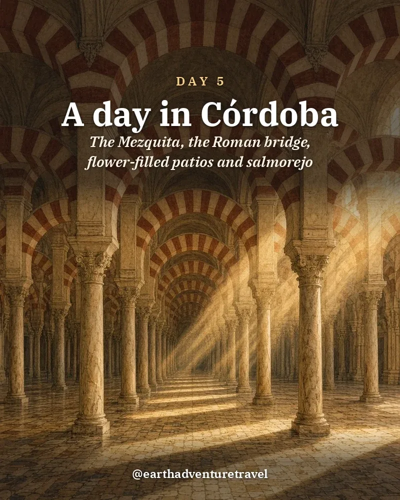 Illustrated day card: The Mezquita, the Roman bridge, flower-filled patios and salmorejo